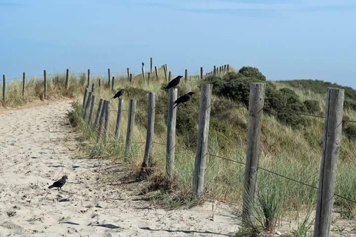 Me Oissie Villa Egmond aan Zee Exterior foto